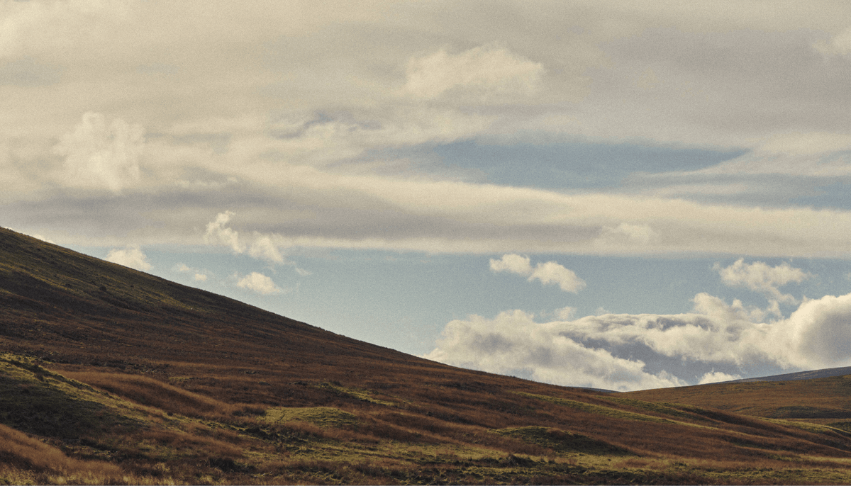 Heritage Dressing Reimagined