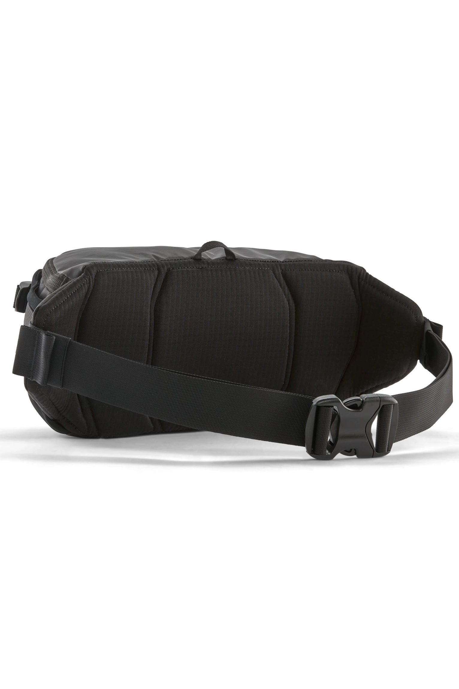 Black Hole Waist Pack 5L Accessories Patagonia