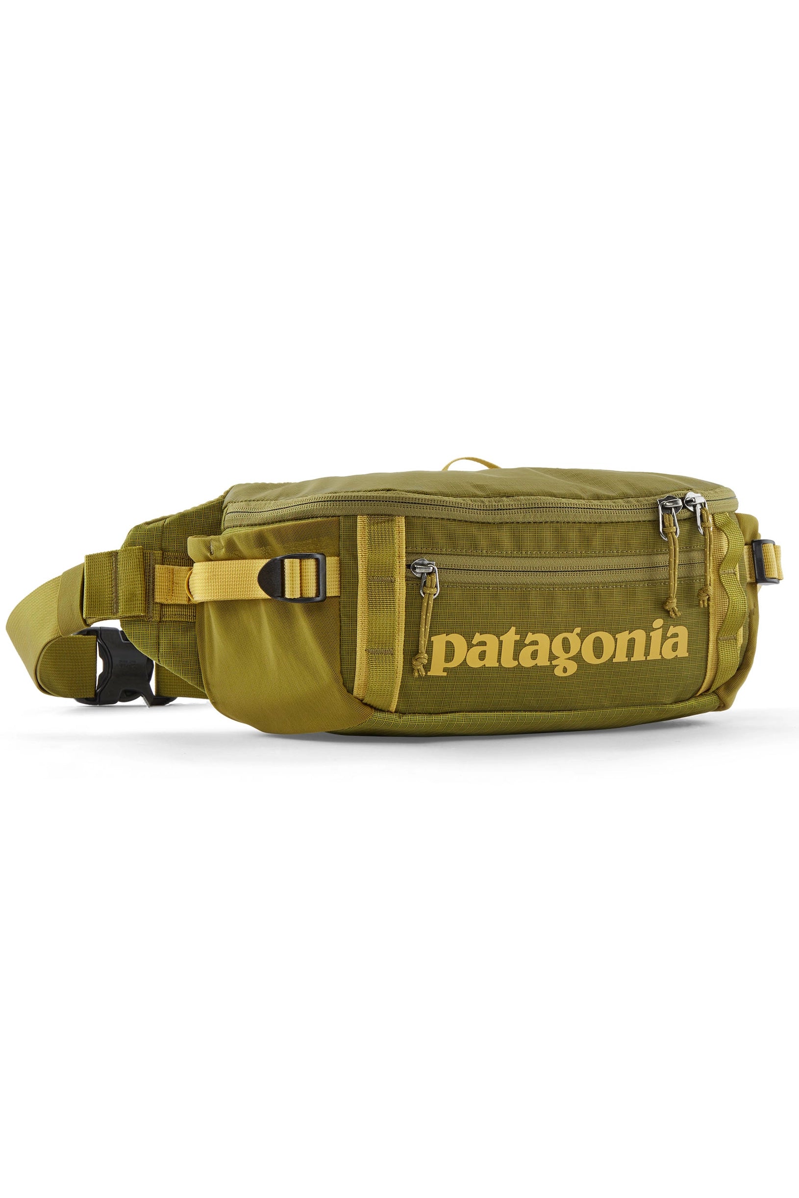 Black Hole Waist Pack 5L Accessories Patagonia