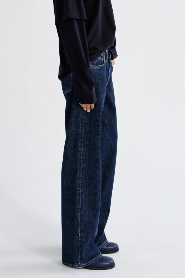 Low Rise Loose Jean Jeans AGOLDE