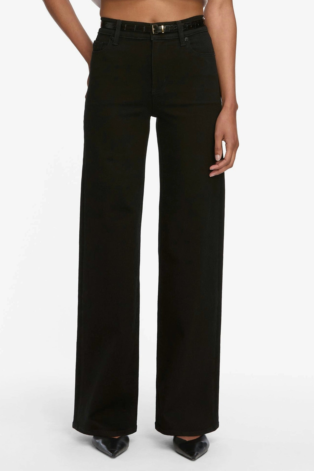 Le Slim Palazzo Pants FRAME