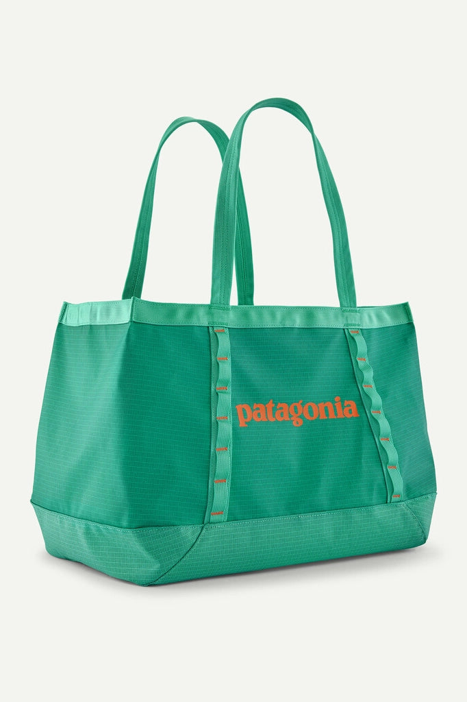 Black Hole 25L Tote Accessories Patagonia