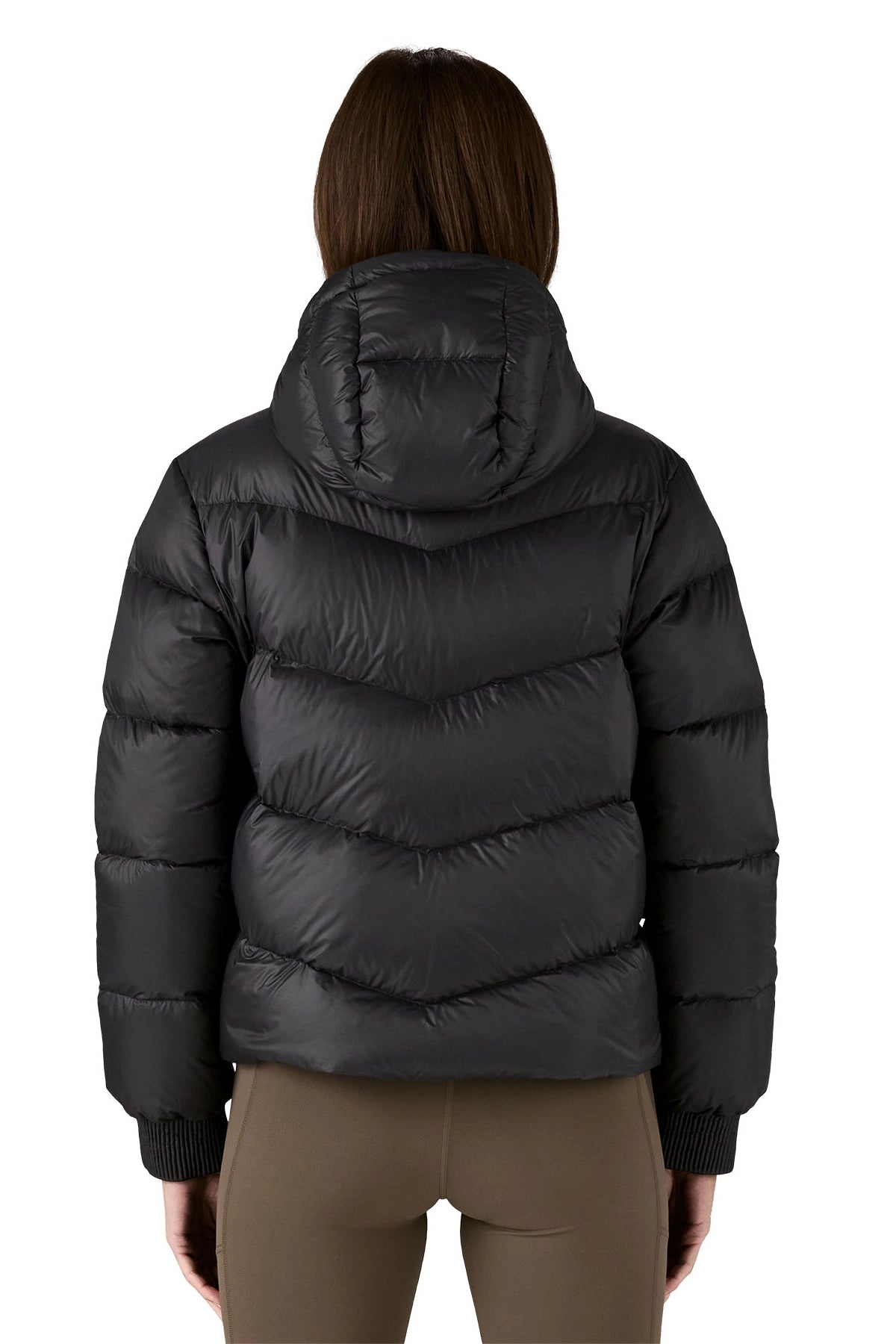 Sindit Hoody Jacket Jackets &amp; Coats Patagonia