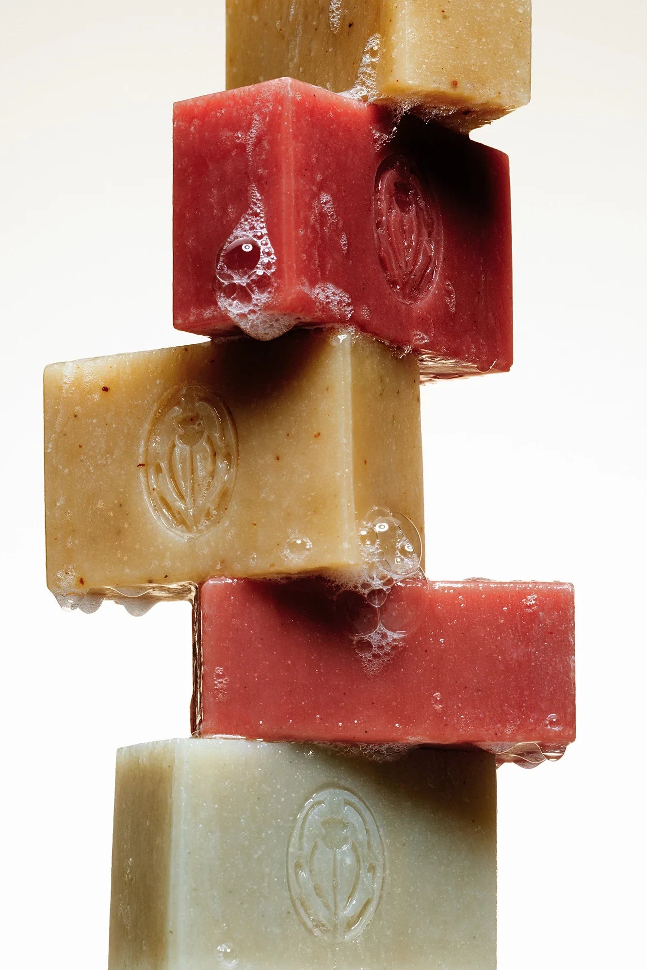 Botanical Bar Soap Accessories Sangre De Fruta